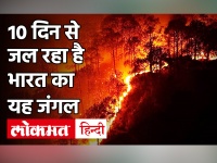 India forest Fire Explainer | Simlipal forest | Simlipal forest Fire | Odisha | Wildlife
