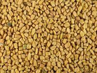 Loose Motion Treatment: दस्त बंद करने के 6 उपाय, लूज मोशन में मिलेगा आराम - | Loose Motion Treatment at home foods to get rid loose motion | Latest health Photos at Lokmatnews.in