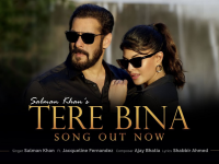 Tere Bina Salman Khan Song | Salman Khan और Jacqueline Fernandez नया गाना Tere Bina रिलीज