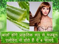 बालों होंगे प्राकृतिक रूप से मजबूत, एलोवेरा से होते हैं ये 4 फायदे - | 4 benefits of Aloe Vera, makes your hair stronger naturally | Latest fashion-beauty Photos at Lokmatnews.in
