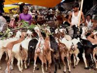 Bakrid 2020: देशभर में मनाई जा रही बकरीद, दिल्ली की जामा मस्जिद में ऐसे अदा की गई ईद की नमाज, देखें तस्वीरें - | Bakrid 2020: Bakrid celebrated all over country, Eid prayers in Delhi's Jama Masjid, see photos | Latest india Photos at Lokmatnews.in