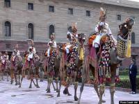 Beating Retreat Ceremony 2020: देखें बीटिंग रीट्रिट सेरेमनी की मनमोहक तस्वीरें, जोश और जज्बा हाई - | Beating Retreat Ceremony 2020 latest images and photos from delhi | Latest india Photos at Lokmatnews.in