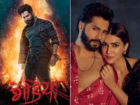 वरुण धवन - | Varun Dhawan | Latest bollywood Photos at Lokmatnews.in