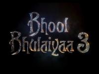Bhool Bhulaiyaa 3: फिर डराएगी 'भूल भुलैया 3' की मंजुलिका, कार्तिक आर्यन ने दी जानकारी - | kartik aaryan bhool bhulaiyaa 3 Movie Release on Diwali 2024 vidya balan on bhool bhulaiyaa 3 | Latest bollywood Photos at Lokmatnews.in