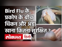 Bird Flu कितना खतरनाक है ? क्या इंसानों को बर्ड फ्लू से खतरा है ? जानें Dr. P Venkata Krishnan से