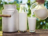 World Milk Day: भारत में इन 5 राज्यों में होता है दूध का सबसे ज्यादा उत्पादन