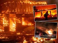 Photos: कैलिफोर्निया के जंगल में लगी आग में इन हॉलीवुड स्टार्स के घर जलकर हुए खाक - | California forest wildfires: miley cyrus, Gerard Butler lost their home in California | Latest world Photos at Lokmatnews.in