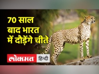 भारत में चीतों की वापसी | Cheetahs Back To India | PM Modi | Kuno National Park
