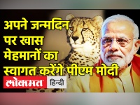 India Cheetah Project। PM Narendra Modi के Birthday के मौके पर भारत आ रहे हैं Cheetah