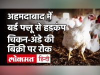 Bird Flu: Gujarat में बढ़ा बर्ड फ्लू संकट, Ahmedabad में चिकन-अंडे की बिक्री पर लगाया प्रतिबंध