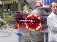 कोरोनावायरस के मरीज़ों को चूहा दिलाएगा मुक्ति!, देखें वीडियो.