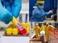 Coronavirus : महाराष्ट्र और तमिलनाडु में कोरोना वायरस ने मचाई सबसे ज्यादा तबाही, देखें ताजा आंकड़े - | Coronavirus updates India Update Data Corona patients in maharashtra tamil nadu delhi gujarat uttar pradesh covid 19 | Latest india Photos at Lokmatnews.in