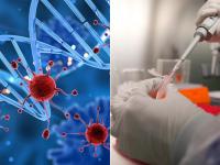 कांगो में मंकीपॉक्स से नौ लोगों की मौत, 2022 में नाइजीरिया में संक्रमण से पहली मौत - | monkeypox in congo nine people died first infection in nigeria in 2022 | Latest india Photos at Lokmatnews.in