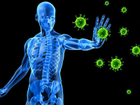 Coronavirus Outbreak: अपनी डायट में शामिल करें ये 6 चीजें, बचे रहेंगें कोरोना वायरस की चपेट से
