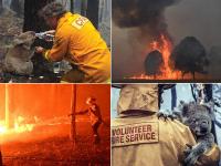 ऑस्ट्रेलिया के जंगल में लगी भयानक आग की तस्वीरें, बिलबिला गए करोड़ों जानवर, अरबों पेड़ खाक - | Pictures of terrible fire in Australia's forest, billions of animals lost | Latest world Photos at Lokmatnews.in