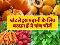 डेंगू से प्लेटलेट्स काउंट गिर गया है तो तुरंत करें इन पांच चीजों का सेवन - | Add these 5 things to your diet to increase platelet count naturally during dengue or malaria | Latest health Photos at Lokmatnews.in