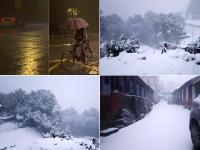 Snowfall: दिल्ली में हुई जबरदस्त बारिश तो जम्मू-कश्मीर और मनाली में हो रही है बर्फबारी, देखें खूबसूरत तस्वीरें - | इस समय मौसम ने अचानक से रुख बदला है और देश में अलग-अलग कई जगह बारिश और बर्फबारी देखने को मिल रही है। | Latest india Photos at Lokmatnews.in