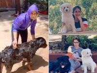 उर्मिला मार्तोडकर - | Urmila Matondkar | Latest bollywood Photos at Lokmatnews.in