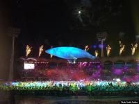 कॉमनवेल्थ गेम्स की ओपनिंग सेरेमनी से आई दिल जीतने वाली तस्वीरें, पीवी सिंधु ने थामा तिरंगा - | commonwealth games 2018 started gold coast with opening ceremony sindhu leads indian contigent | Latest other-sports Photos at Lokmatnews.in