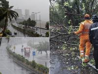Cyclone Nisarga: निसर्ग तूफान की दस्तक से उखड़े पेड़, देखें तबाही की ताजा तस्वीरें - | Cyclone Nisarga in Maharashtra And Gujarat see latest photos and images | Latest india Photos at Lokmatnews.in