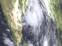 Cyclone Amphan Live Updates: Amphan से West Bengal में 72 लोगों की मौत, सरकार ने किया मुआवजे का ऐलान