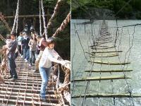 इन 5 पुलों को पार करने में याद आ जाती है नानी, हैं बेहद खतरनाक - | Photos: 5 most dangerous bridges in the world | Latest travel Photos at Lokmatnews.in