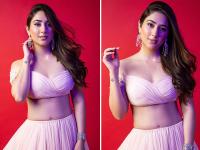 दिशा परमार ने लगाई इंटरनेट पर आग, पिंक लहंगे में कराया दिलकश फोटोशूट, देखे तस्वीरे - | TV actress Disha Parmar set the internet on fire did a photoshoot done in pink lehenga, see pictures | Latest television Photos at Lokmatnews.in