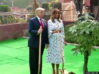 राजघाट में Donald Trump और मेलानिया, देखें वृक्षारोपण से लेकर महात्मा गांधी को श्रद्धांजलि तक की ताजा तस्वीरें - | Donald Trump planting tree in Rajghat and tribute to Mahatma Gandhi, see photos | Latest india Photos at Lokmatnews.in