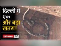 Snake in delhi flood: रिकॉर्ड बारिश और बाढ़ के बाद दिल्ली में सांप निकल आए हैं