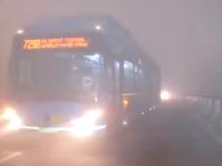 दिल्ली-NCR में छाया घना कोहरा, न्यूनतम तापमान 11.4 डिग्री सेल्सियस दर्ज - | Delhi Weather Today Tuesday 30 Jan 2024 Dense fog in Delhi amid cold weather, visibility badly affected | Latest india Photos at Lokmatnews.in