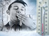 Photos: सर्दियों में इन 5 सुपरफूड्स को खाएं और आलस को दूर भगाएं | Winter Food Tips: 5 Superfoods for boost your energy in winter | Latest food Photos at Lokmatnews.in