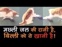 Funny Video: बर्फ में जमी हुई मछली के लिए तड़पती रही बिल्ली का वीडियो हुआ वायरल!