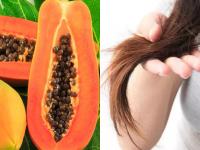 दो मुंहे बालों से मिलेगा छुटकारा, अपनाएं ये 5 आसान उपाय, बाल बनेंगे लंबे और मजबूत - | get rid of split ends without cutting hair apply this oil on hair | Latest fashion-beauty Photos at Lokmatnews.in