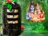 Hariyali Amavasya 2019: जानिए हरियाली अमावस्या की पूजा करने की विधि और इसका महत्व, देखें इन पिक्स में - | Hariyali Amavasya 2019 puja vidhi, importance, Hariyali Amavasya kab hai images photos and pictures | Latest spirituality Photos at Lokmatnews.in