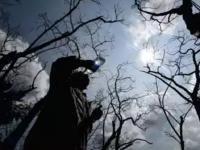 Delhi Temperature Update: दिल्ली में टूटे सभी रिकॉर्ड, मुंगेशपुर में 49.2 और नजफगढ़ में 49.1 डिग्री दर्ज, जानें पंजाब, यूपी और हरियाणा का हाल - | Delhi Temperature Update 49-2 degrees in Mungeshpur and 49-1 Najafgarh condition Punjab, UP and Haryana | Latest india Photos at Lokmatnews.in