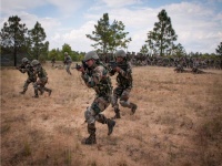 VIDEO: एलओसी पर तनाव बढ़ा, भारतीय सेना ने पाकिस्तान को दिया मुंह तोड़ जवाब