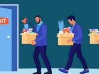 टीसीएस से लेकर अमेज़न तक एआई के कारण मार्केट में बदलाव के बीच इन आईटी कंपनियों ने 1,00,000 से ज़्यादा कर्मचारियों को नौकरी से निकाला - | From TCS to Amazon, these IT companies have laid off more than 100,000 employees amidst market changes driven by AI | Latest business Videos at Lokmatnews.in