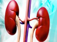 Looking for a home remedy for kidney ailments? Eat these 5 foods - News | Looking for a home remedy for kidney ailments? Eat these 5 foods | Latest health Photos at Lokmattimes.com Looking for a home remedy for kidney ailments? Eat these 5 foods - News | Looking for a home remedy for kidney ailments? Eat these 5 foods | Latest health Photos at Lokmattimes.com