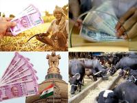 Budget 2019: दो हेक्टेयर से कम ज़मीन वाले किसानों को मोदी सरकार ने दिया ये तोहफा - | budget 2019 announcement for farmer: farmer owner of land less than two hectares will rewarded by modi government in budget | Latest india Photos at Lokmatnews.in