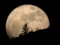 Lunar Eclipse 5 June 2020: साल 2020 में कब-कब लगेगा सूर्य और चंद्र ग्रहण, क्या है समय और तारीख