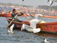 Mahakumbh 2025: रंग-बिरंगी नावों पर नौका विहार, अद्भुत छटा और खूबसूरत चित्रकारी?, संगम की पहचान तैरती नाव, देखें तस्वीरें - | Mahakumbh 2025 live prayaraj up Boating colorful boats amazing scenery and beautiful paintings Floating boat marking Sangam, see photos | Latest india Photos at Lokmatnews.in