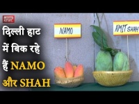 वीडियो: दिल्ली के Mango Festival में 500 से ज्यादा रसीले आमों का मेला, आप कैसे खाएंगे
