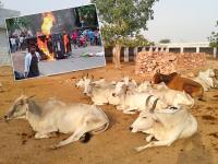 चार साल मोदी सरकार: देश में दिखे दंगा-फसाद के ये 5 नए ट्रेंड, देखें तस्वीरें - | See Pics: 5 new trends of riots in India seen in Modi 4 year government | Latest india Photos at Lokmatnews.in