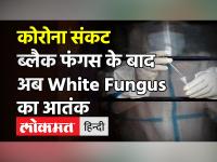 Bihar में Black Fungus से ज्यादा खतराक White Fungus आया सामने, जानें लक्षण और किसे है ज्यादा खतरा!
