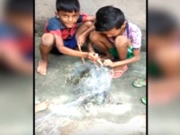ओडिशा में कैसे बच्चों ने बचाई एक सांप की जान, देखिए