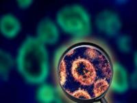 COVID-19 Update: एक दिन में कोविड-19 के 105 नए केस, 24 घंटे की अवधि में पंजाब में वायरस से एक की मौत, जानें अपने राज्य का हाल - | COVID-19 Update 105 new cases of Covid-19 in a day one death due to virus in Punjab in span of 24 hours know condition of your state | Latest health Photos at Lokmatnews.in