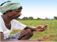 PM Kisan Scheme: 1 दिसंबर से खाते में आएंगे 2000 रुपये, ऐसे चेक करें लिस्ट में अपना नाम - | PM Kisan Scheme: 2000 rupees will come to your account from December 1, check your name in this list | Latest india Photos at Lokmatnews.in