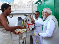 LS polls 2024: पुजारियों ने पीएम मोदी के मस्तक पर तिलक लगाया, गौ माता को प्रणाम, देखें तस्वीरें - | LS polls 2024 PM Narendra Modi performs Pooja-Darshan at Sri Raja Rajeshwara Swami Temple see pics video Vemulawada prayed 140 crore Indians | Latest india Photos at Lokmatnews.in