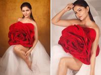 रुबीना दिलैक ने ग्लैमरस लुक में कराया फोटोशूट, तस्वीरे देख दीवाने हुए फैंस - | rubina dilaik look glamorous in rose dress fans went crazy after seeing the pictures | Latest television Photos at Lokmatnews.in