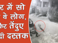 वीडियो: घर में सो रहे थे लोग तभी तेंदुए ने दी दस्तक